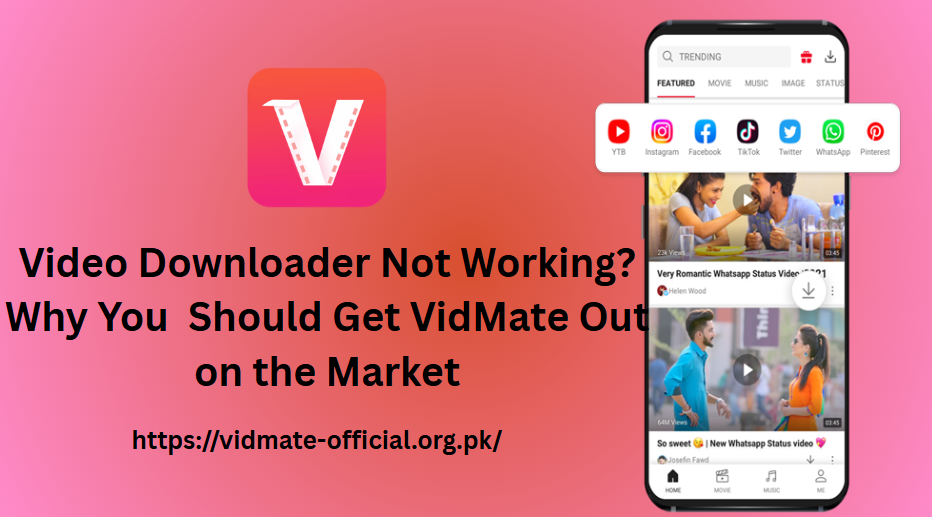 Video Downloader Not Working