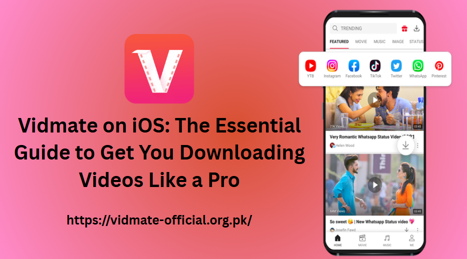 Vidmate on iOS